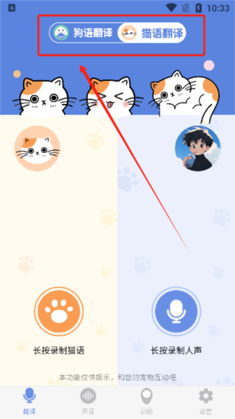 小白交流翻译