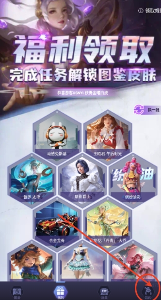 皮皮go