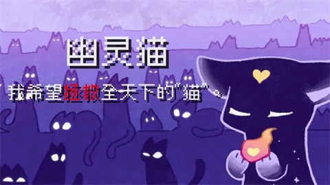 对人类过敏的猫测试版