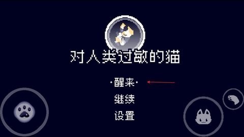 对人类过敏的猫测试版