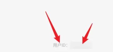 花梨阅读