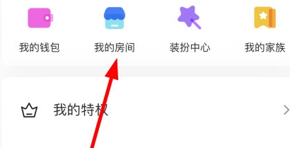 不鸽语音开黑