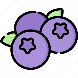 蓝莓音乐软件